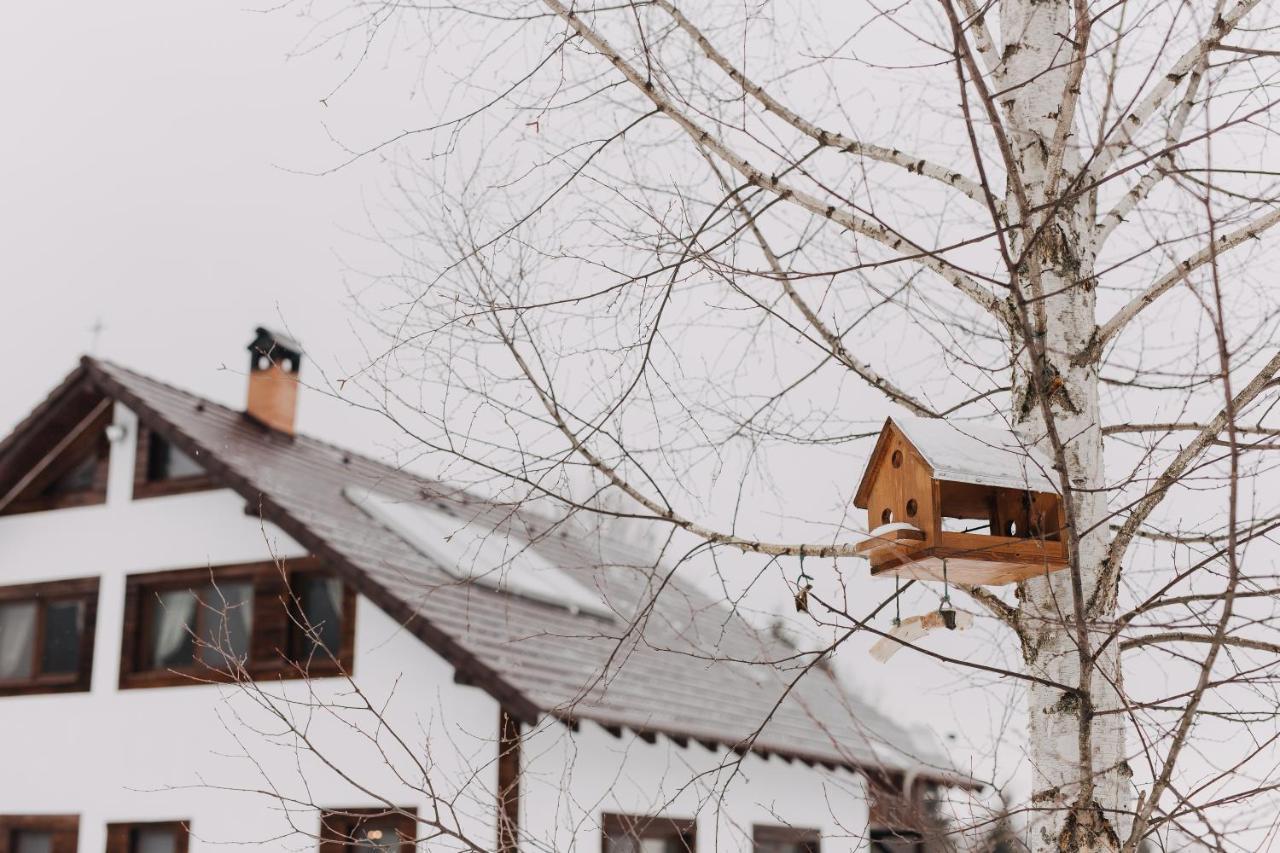 Hanna'S Hidden Haven Harghita-Băi Exterior photo